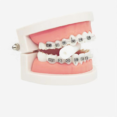 Elastic-Ring &nbsp;&nbsp;ALA-ER